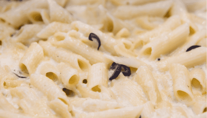 macarrão cremoso com queijo