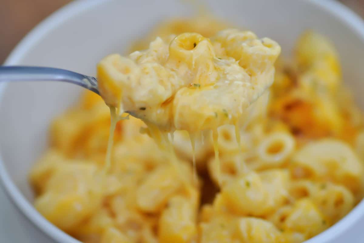 Macarrão cremoso com queijo