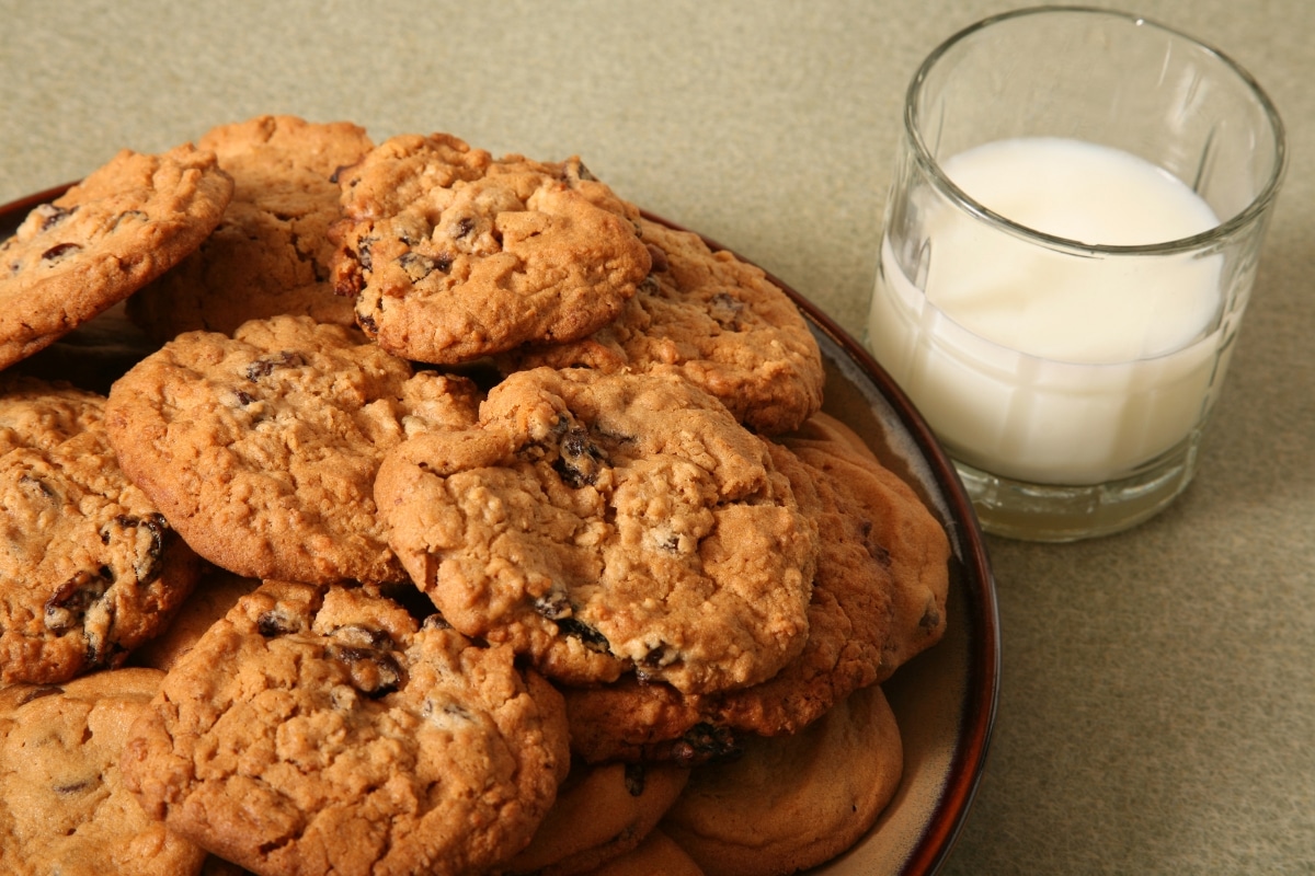 biscoitos de chocolate e passas de aveia