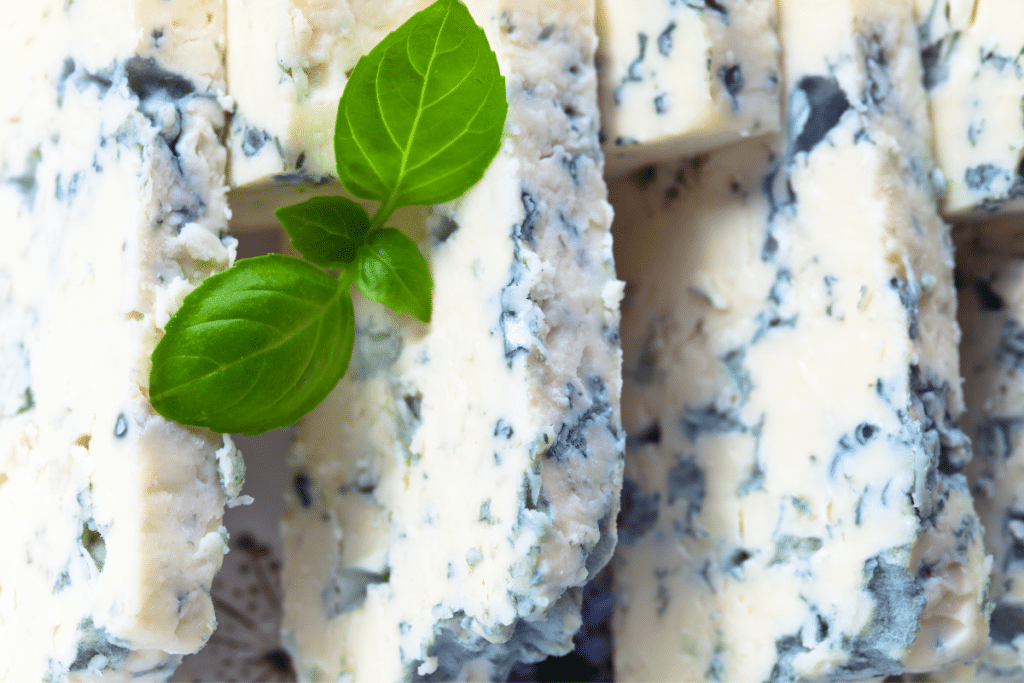 Queijo gorgonzola